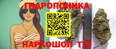 кокс Кунгур