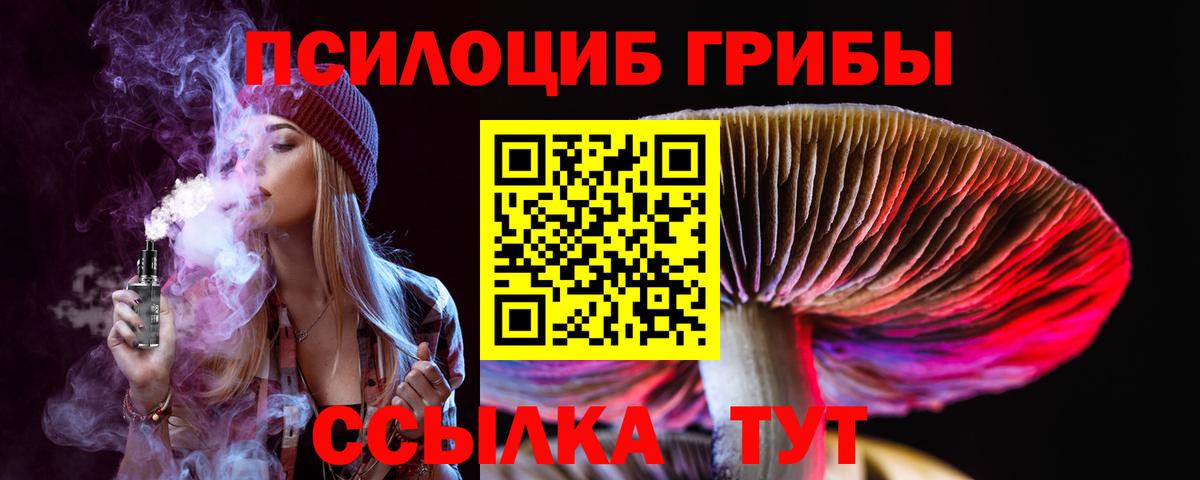 Псилоцибиновые грибы мухоморы Урус-Мартан